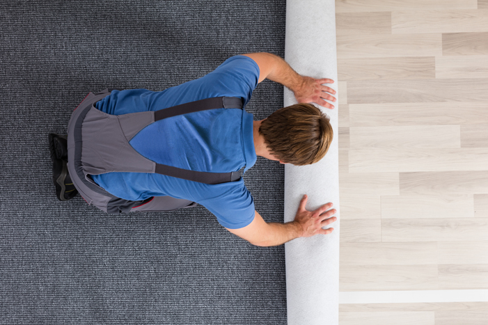 Carpet Installer Lower Hutt  Carpet Installation Contractors